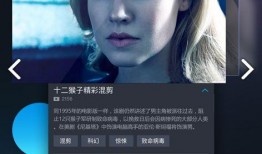 _视频在线观看,热门视频在线观看指南